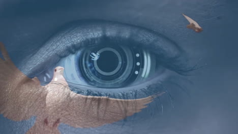 close-up of human eye with digital interface animation over flying birds