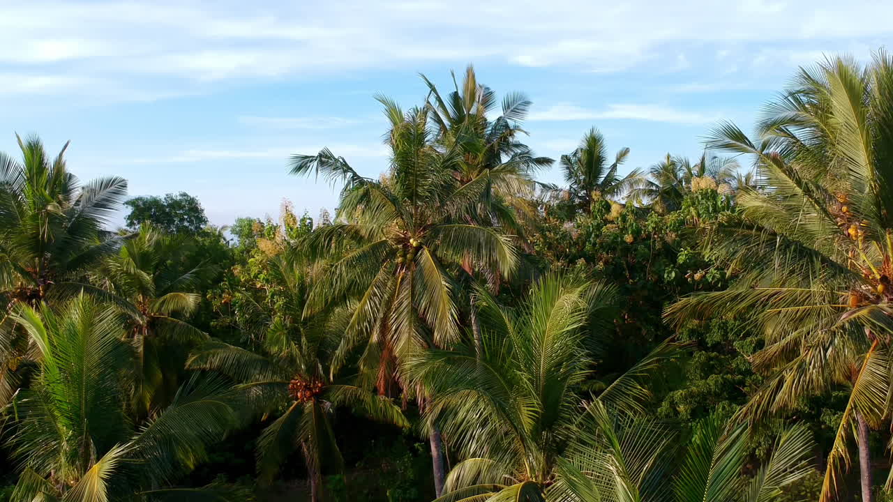 Drone Shot, Aerial view of a tropical forest, the sea and the vulcano Agung in the background. Drone flies straight upwards and reveals the panorama.