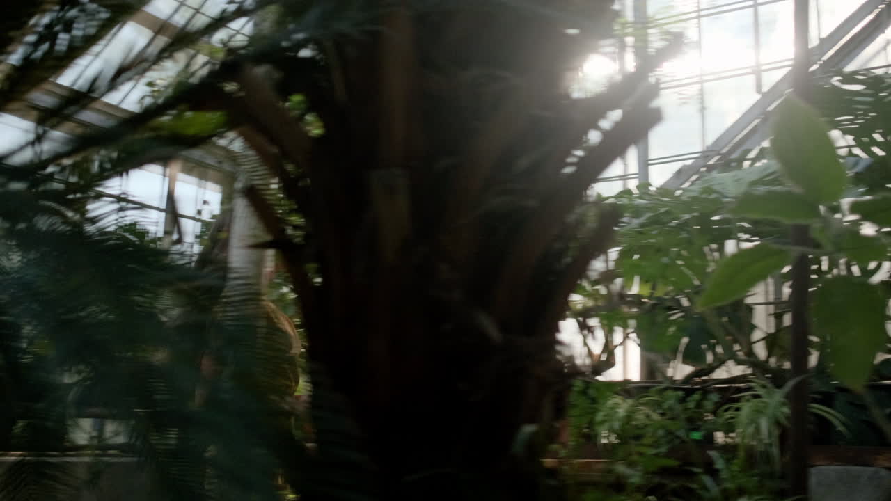 젊은 소녀 모델이 온실에서 달리고 둘러보고 있습니다.