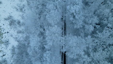 Carretera-Asfaltada-Aislada-En-Medio-De-Un-Bosque-De-Coníferas-Nevado-Cerca-Del-Pueblo-De-Pieszkowo-En-Polonia