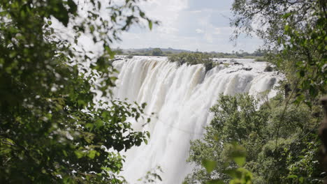 video de una cascada vista a través de los arbustos y árboles de la selva