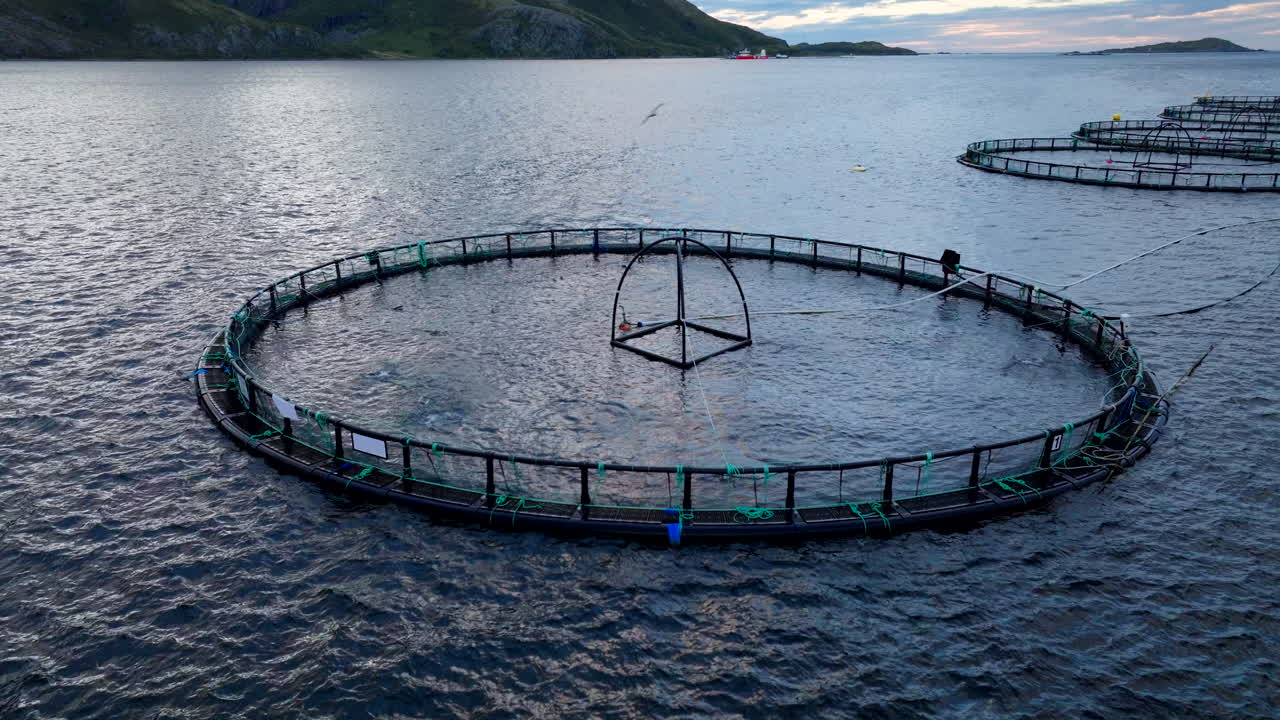 연어 농장, 원형 케이지를 가진 수산업, 베스테랄렌, 노르웨이