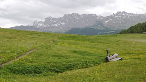wooden animal water trough on alpine meadow with mountain backdrop