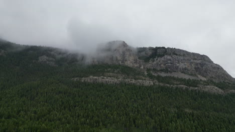 forest mountain covered by cloud on a dark misty day