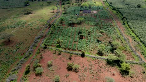 Grüne-Kenia-bauernhöfe,-Arme-Siedlung-Siedlung-Afrika-Agronomische-Plantage-Aus-Der-Luft