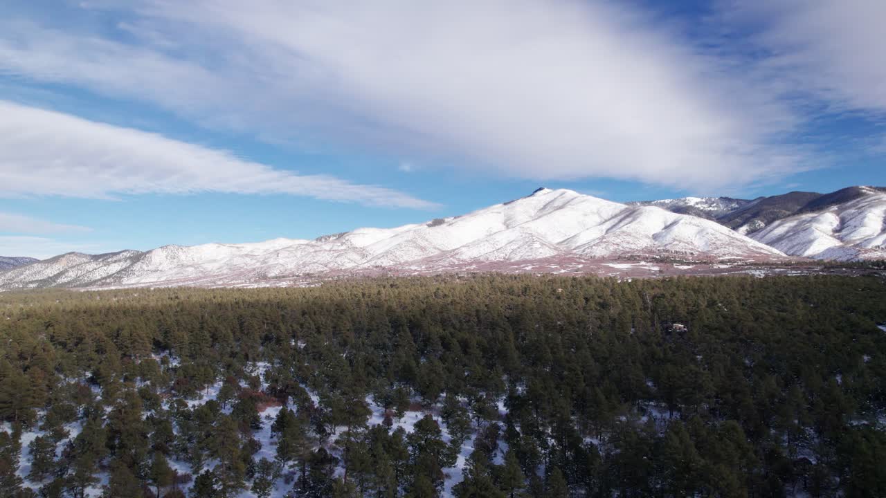 vista aérea de drones de un bosque con montañas cubiertas de nieve