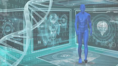 animación de la interfaz de hud con el cuerpo humano, el cerebro y la hélice de adn sobre códigos binarios en el fondo