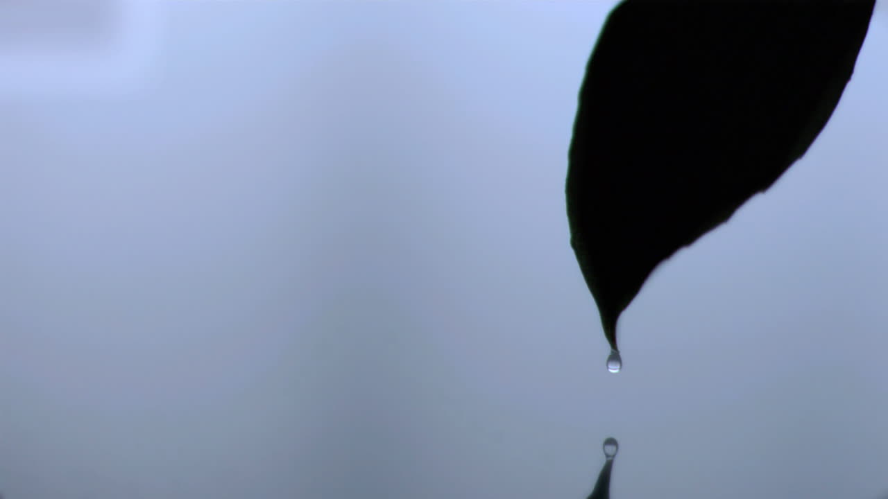 капля погружается в супер медленное движение