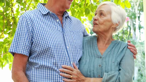 una pareja de mayores hablando y abrazándose.