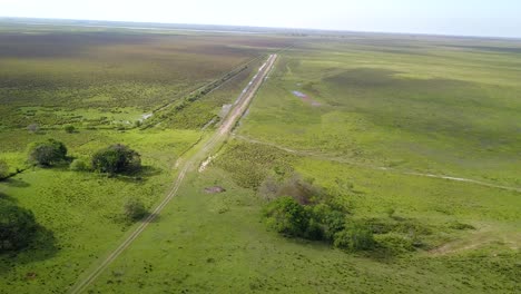 Wetlands-of-northeast-Argentina-shooted-with-drone