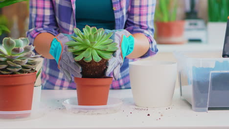 Mujer-Replantando-Casa-De-Flores