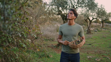 Perspiring-man-walking-olive-plantation-closeup.-Tired-farmer-harvest-at-evening