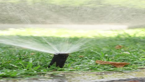 close up of a sprinkler watering a lawn