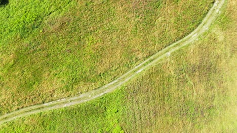 Country-road-between-beautiful-colorful-autumn-fields-aerial-view