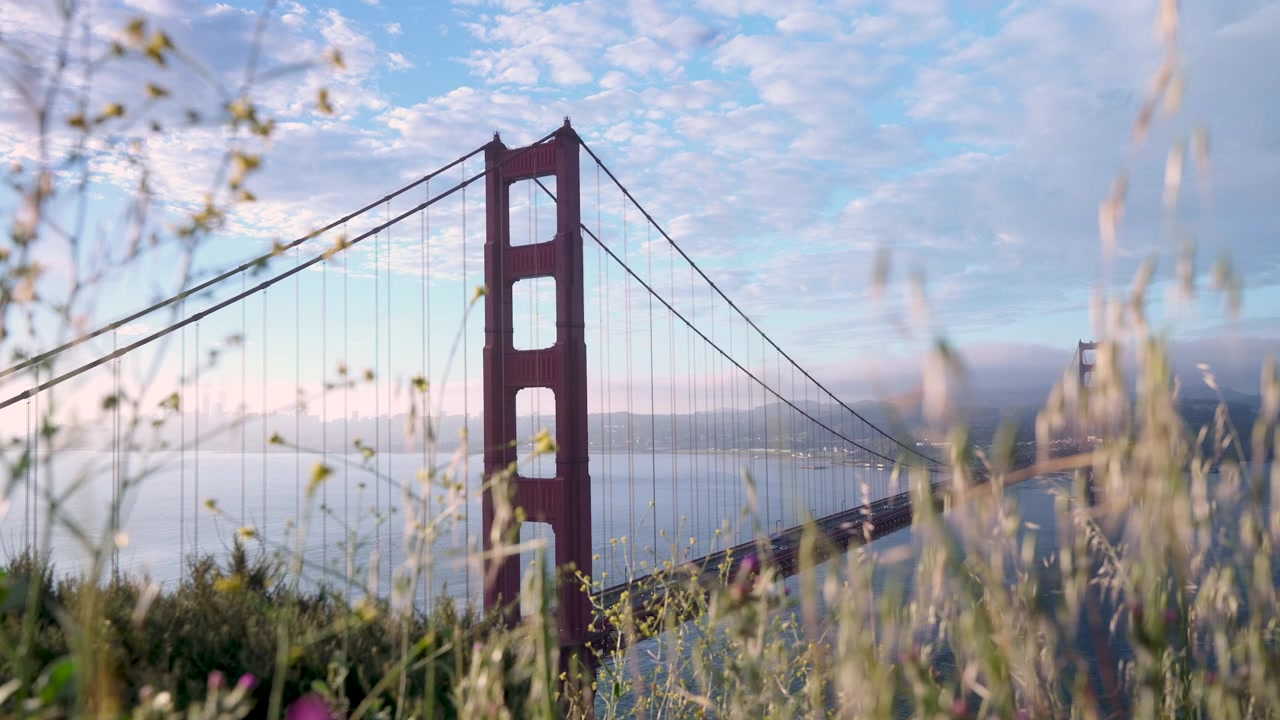 Golden Gate Bridge med snavset forgrund, håndholdt optagelse fra lav vinkel, græs og blomster