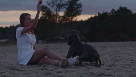 Junge-Frau,-Die-In-Der-Abenddämmerung-Mit-Einem-Amerikanischen-Staffordshire-Terrier-In-Sanddünen-Spielt