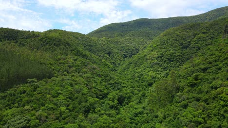 aerial drone view of a green valley with hills and dense forest