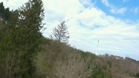 Un-Vuelo-Fpv-Sobre-Un-Prado-Y-Un-Bosque