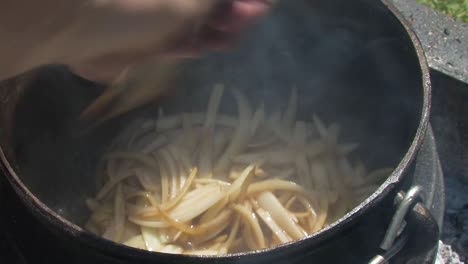 frying onions in the pootjie