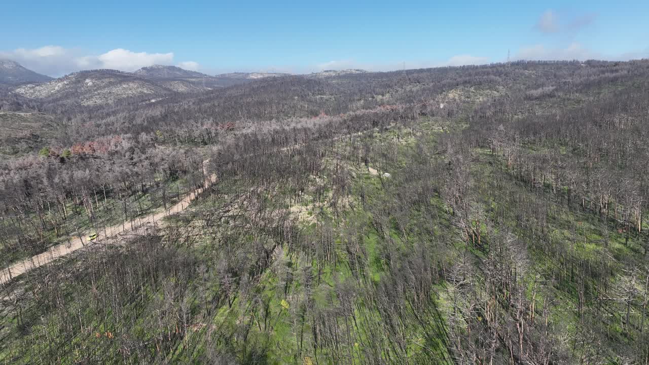 imágenes aéreas de un bosque después de un incendio forestal