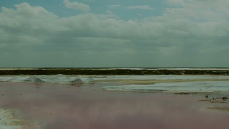 pink sea 03