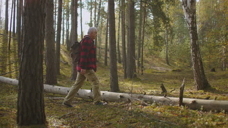 Naturaleza-Pintoresca-Del-Bosque-Otoñal-Y-Caminante-Hombre-De-Mediana-Edad-Pasea-Con-Mochila-Entre-árboles