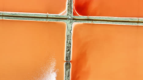 aerial view of vibrant pink salt evaporation ponds