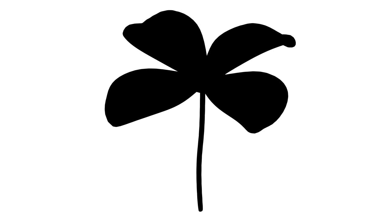 4k 해상도, 알파 채널, 루핑