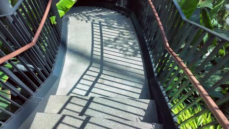 spiral staircase in a tropical greenhouse