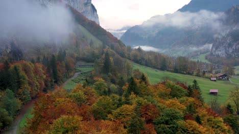 Toma-Aérea-Del-Bosque-En-Temporada-De-Otoño-Con-Montañas-Al-Fondo