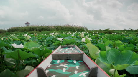 boat moving through the lake