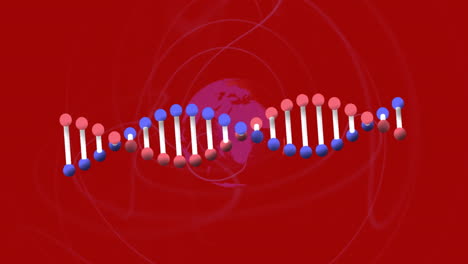 Animación-De-La-Cadena-De-ADN-Sobre-El-Globo-Sobre-Fondo-Rojo.