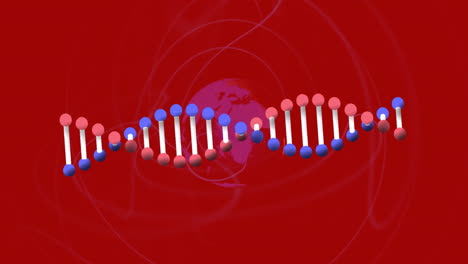 animation of dna strand over globe on red background