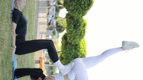 fitness on nature three young women doing exercises on fresh air fitness on nature three young women doing exercises on fresh air mid shot