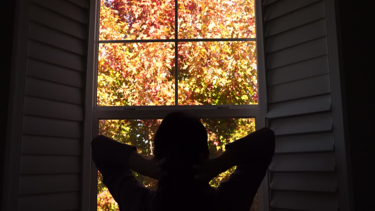 4k 가을 스톡 푸티지 비디오