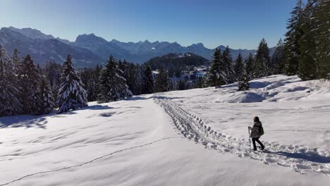 aerial tracking shot of person with ski poles hiking on snowy mountain during sunny day in swiss alps - beautiful landscape in winter