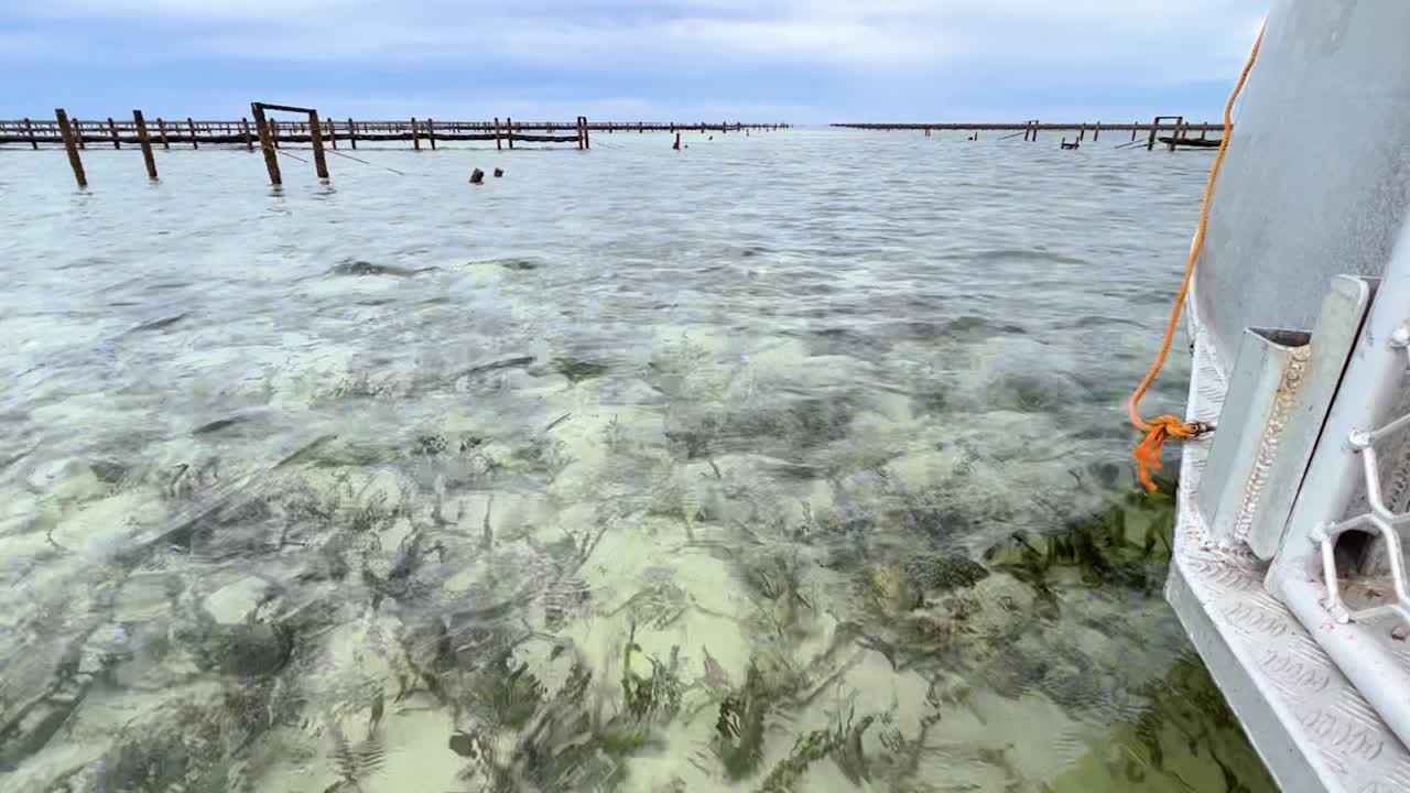 Una barca offre una vista sull'acqua cristallina dell'oceano, con un fondale marino visibile e concessioni di ostriche. Il mare è calmo sotto un cielo nuvoloso.
