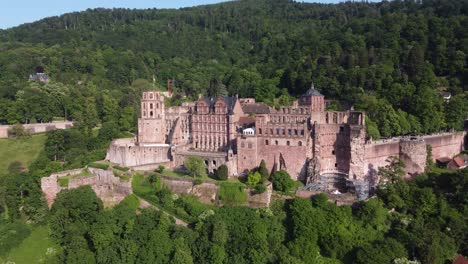 el castillo de heidelberg se encuentra en una colina verde y exuberante, alemania.