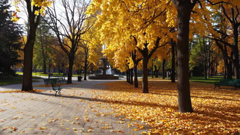 autumn park with fountain