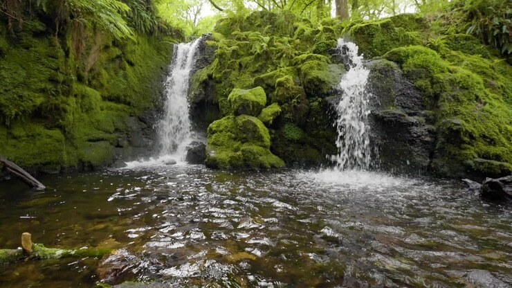 uma bela cachoeira numa floresta exuberante.