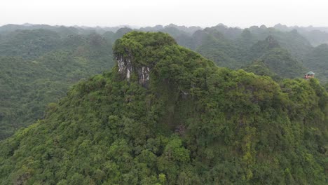 aerial view of cat ba national park in vietnam