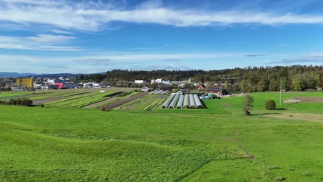 Vuelo-Aéreo-Sobre-Tierras-De-Cultivo-Verdes-Y-Onduladas-Con-Cubiertas-De-Cultivos-En-El-Fondo-Cerca-De-Bollingen,-Suiza-En-Un-Día-Claro-Y-Soleado