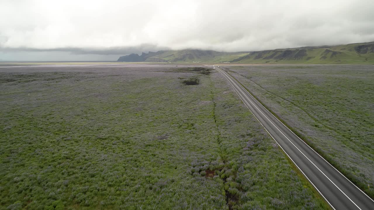 camino islandés a través de un campo de flores púrpuras