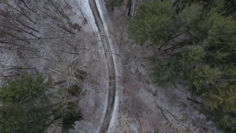 A-top-down-view-directly-above-a-dirt-road-with-snow-and-tall-pine-trees,-some-with-no-leaves