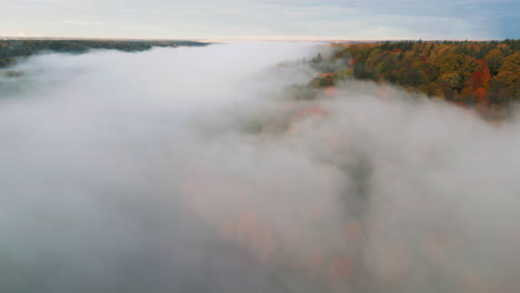 Zooming-out-of-a-colorful-forest-covered-by-a-thick-fog