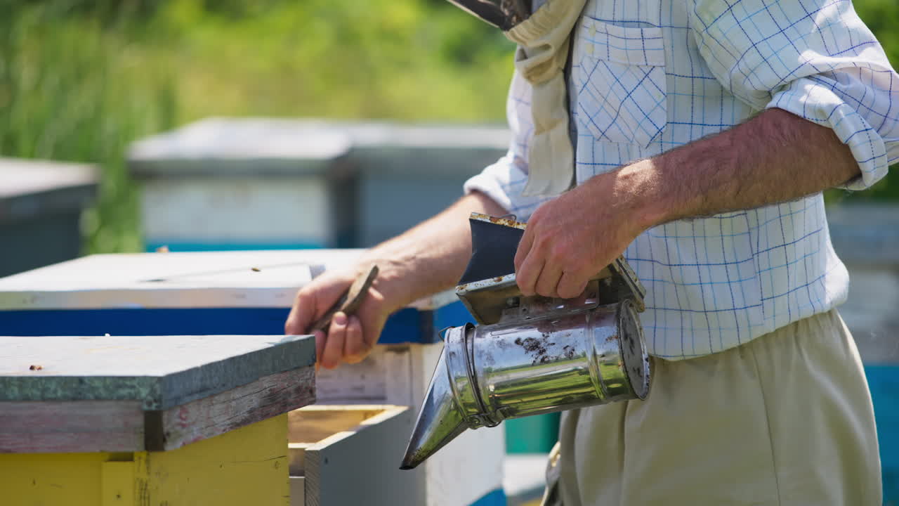 Apiarist using brush and smoker to scare off the bees from their honeycombs. Some bees circling around the man. Wooden beehives against blurred background.