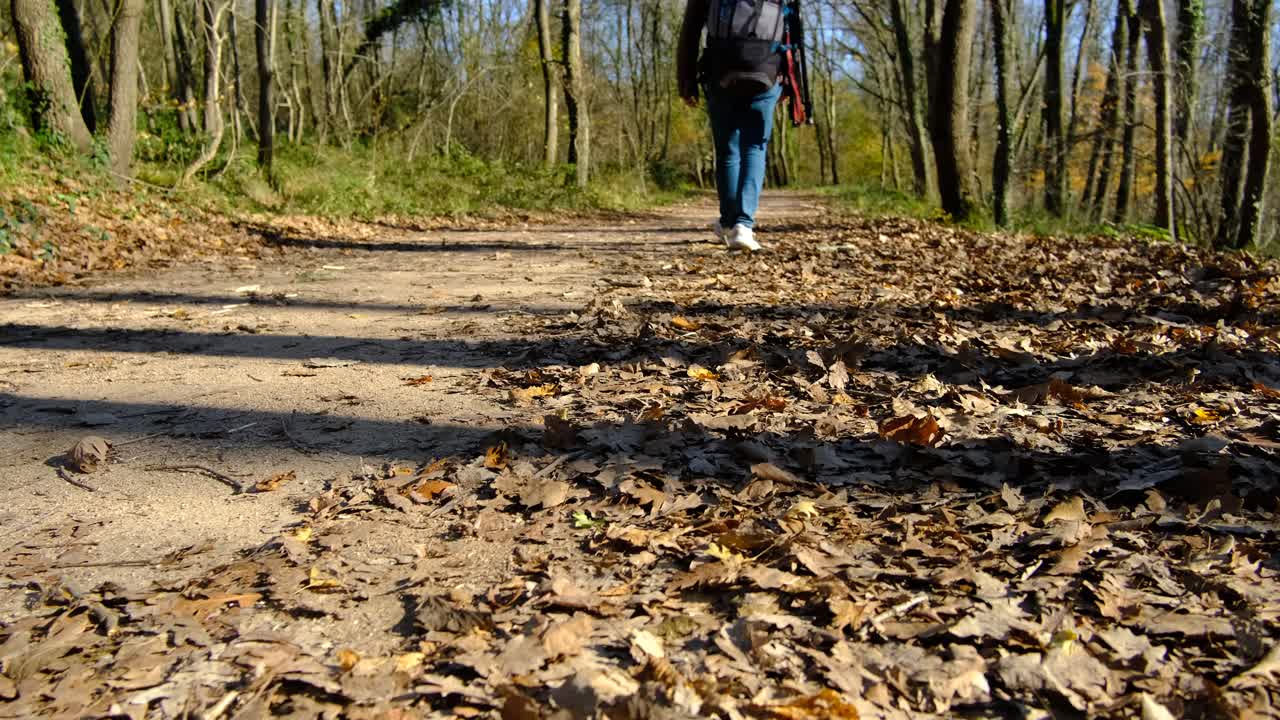 Walking man autumn road