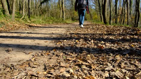 Walking-man-autumn-road