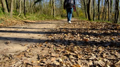 el hombre que camina en el camino del otoño