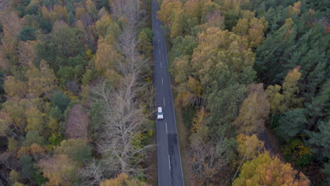 Weißes-Auto-Taucht-Durch-Die-Provinzstraße-Entlang-Des-Waldes-Auf-Der-Halbinsel-Hel